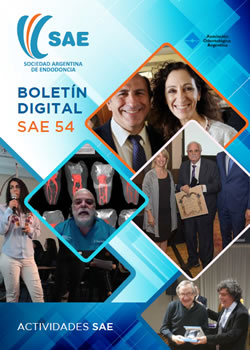 Boletin SAE